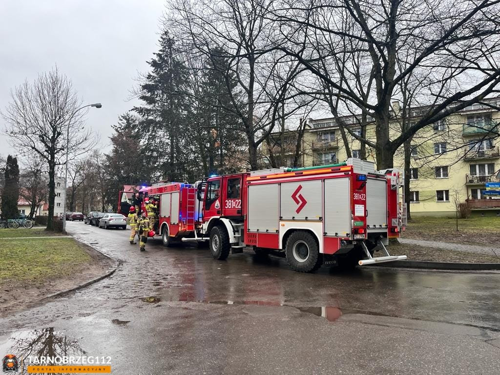 Tarnobrzeg. 57-latek znaleziony w zaroślach
