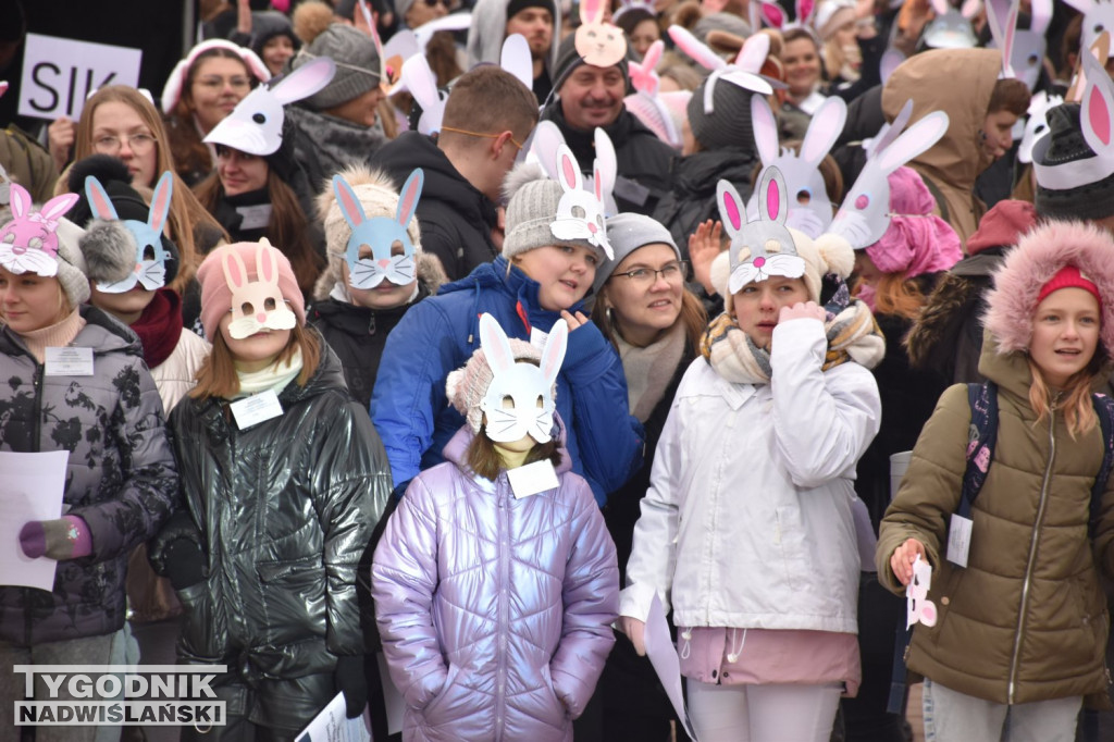 Króliczy rekord Polski w Tarnobrzegu