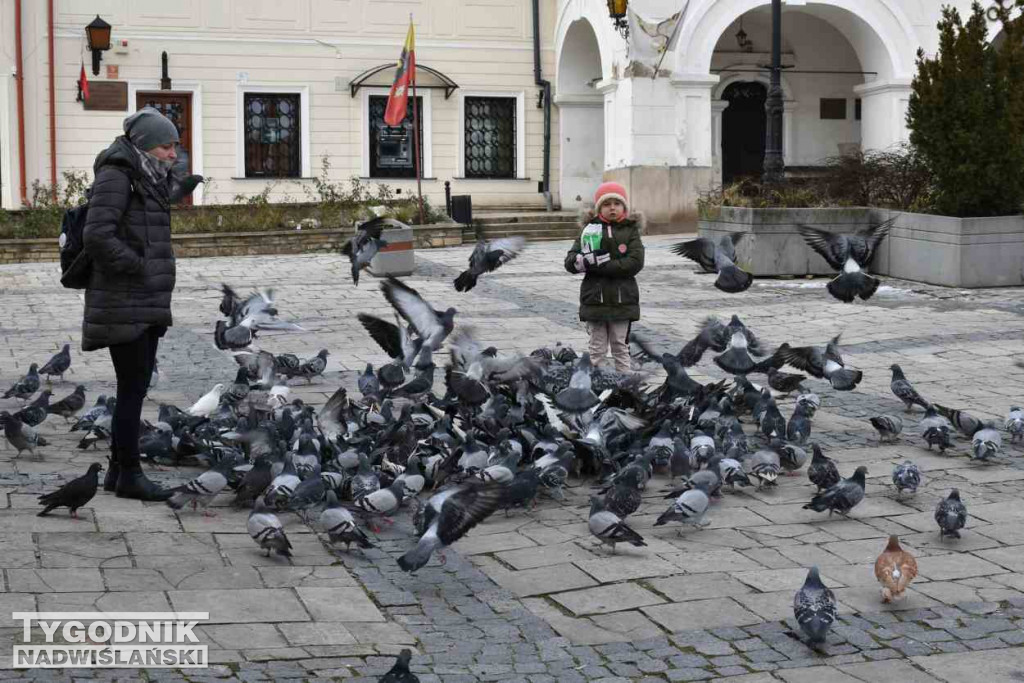 Walentynki w Sandomierzu