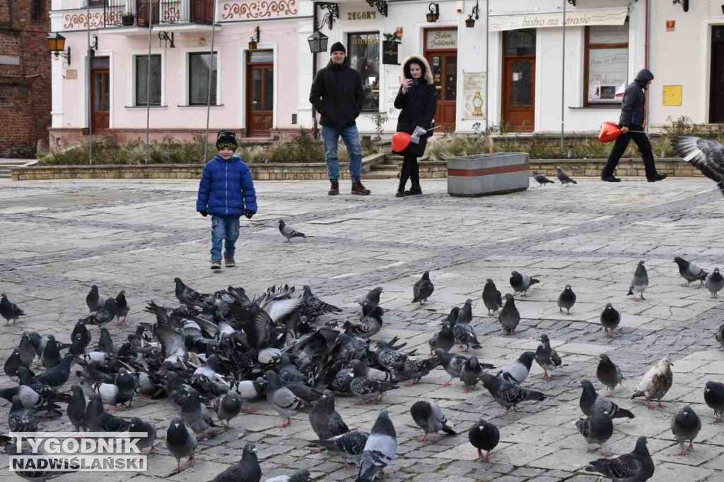 Walentynki w Sandomierzu