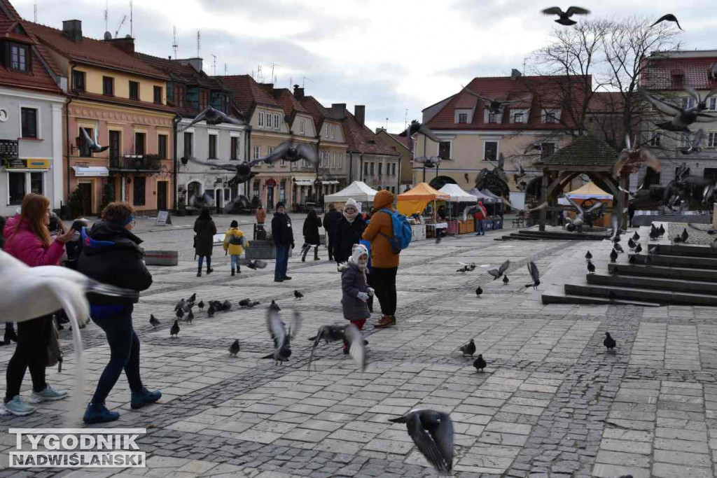 Walentynki w Sandomierzu