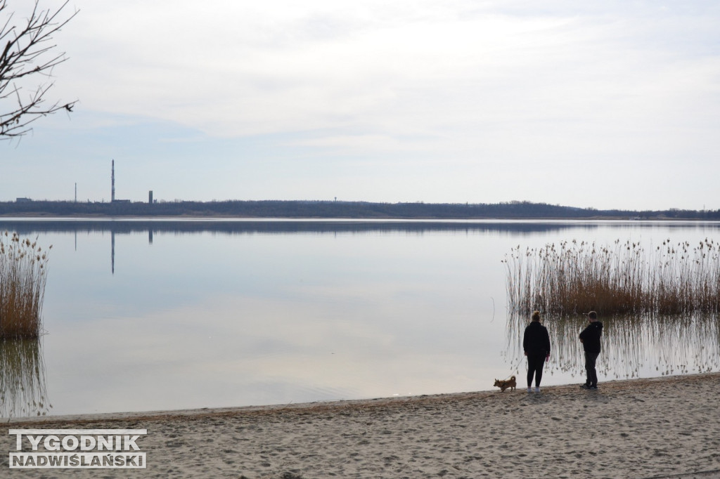 Jezioro Tarnobrzeskie - 19.03.2023