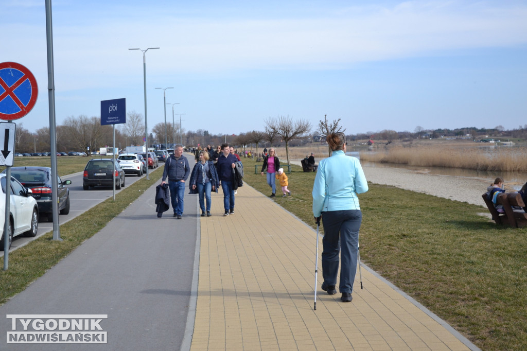 Jezioro Tarnobrzeskie - 19.03.2023