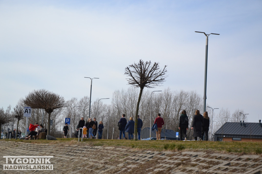 Jezioro Tarnobrzeskie - 19.03.2023