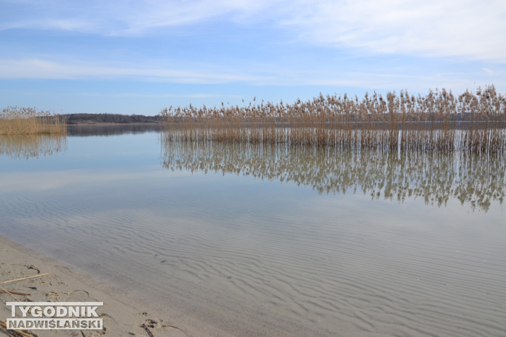 Jezioro Tarnobrzeskie - 19.03.2023