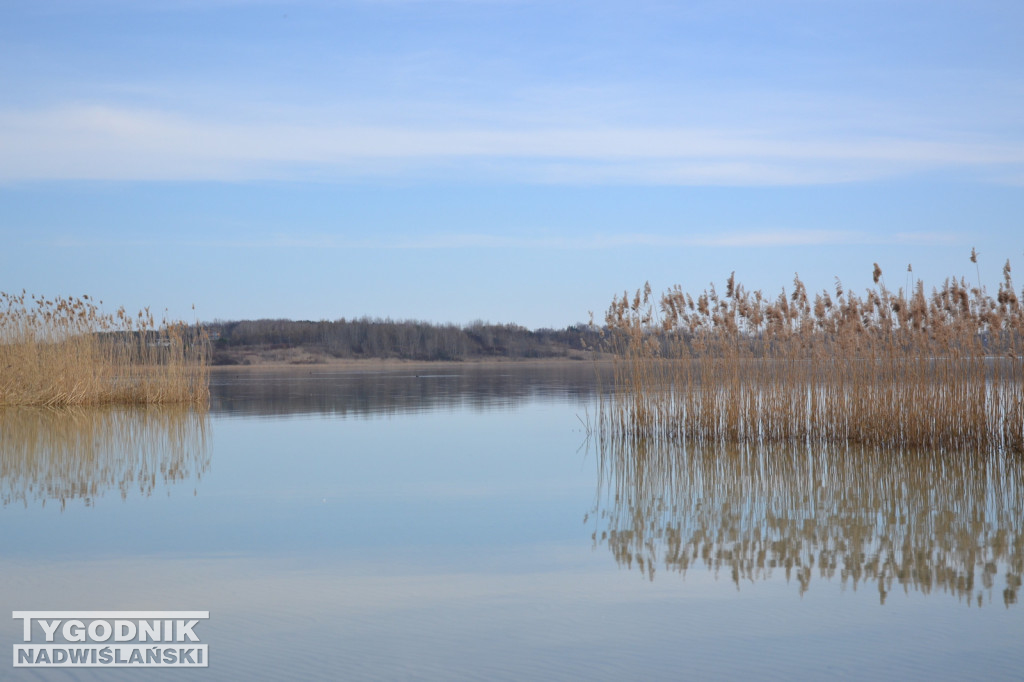 Jezioro Tarnobrzeskie - 19.03.2023