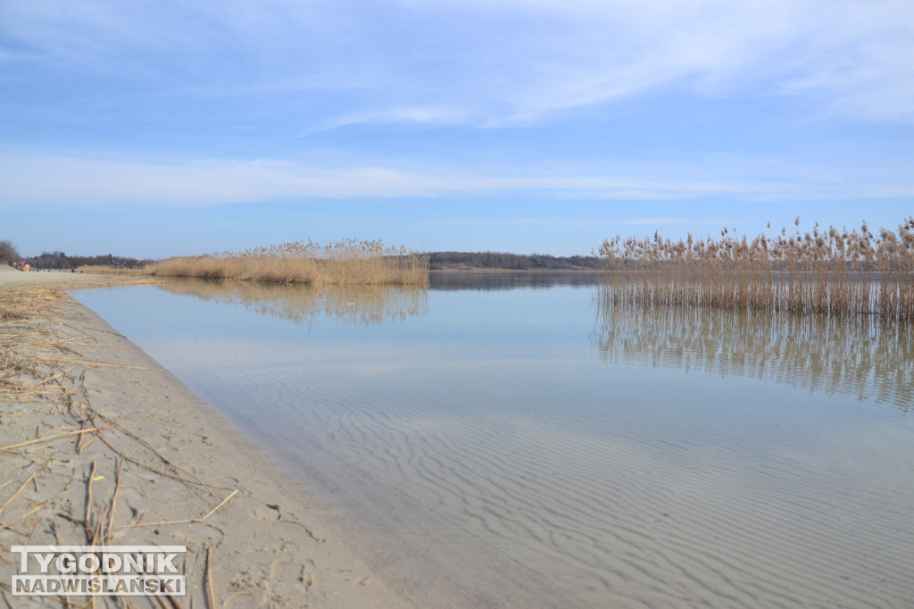 Jezioro Tarnobrzeskie - 19.03.2023