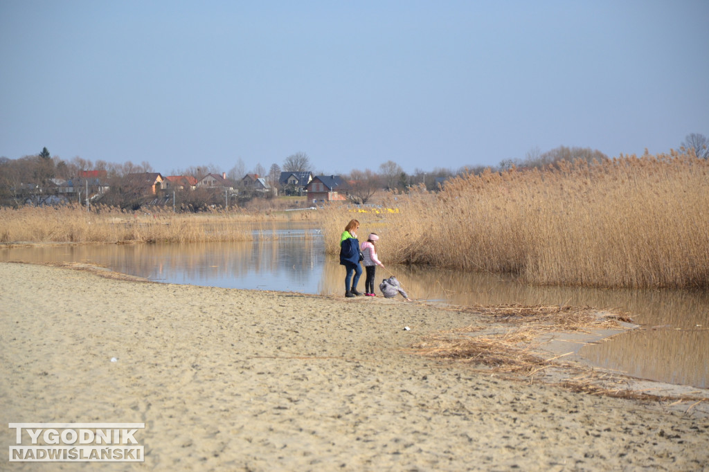 Jezioro Tarnobrzeskie - 19.03.2023