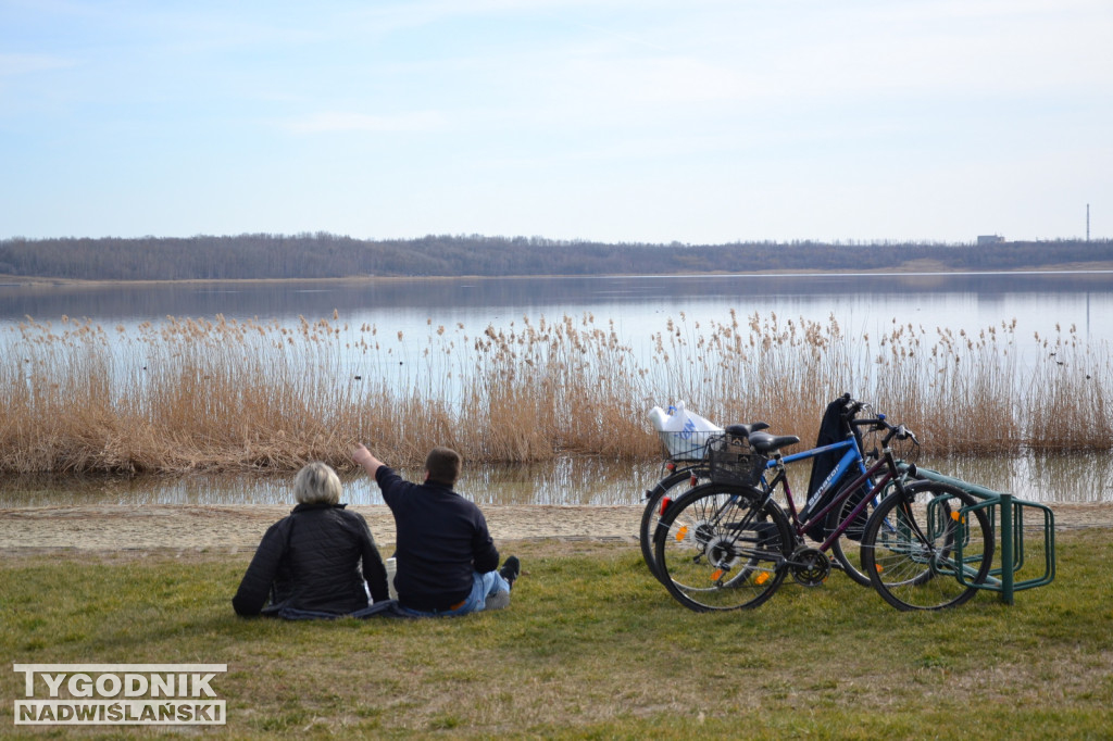 Jezioro Tarnobrzeskie - 19.03.2023