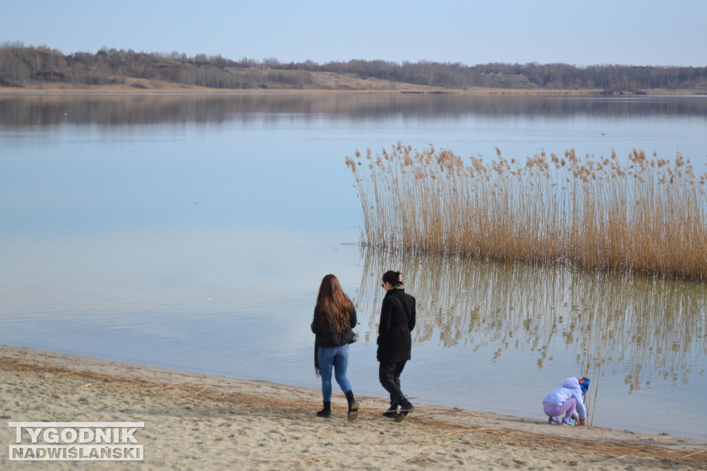 Jezioro Tarnobrzeskie - 19.03.2023