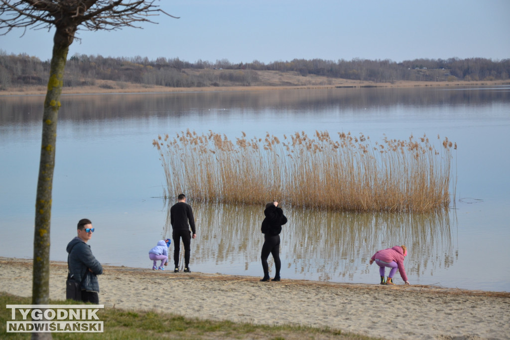 Jezioro Tarnobrzeskie - 19.03.2023