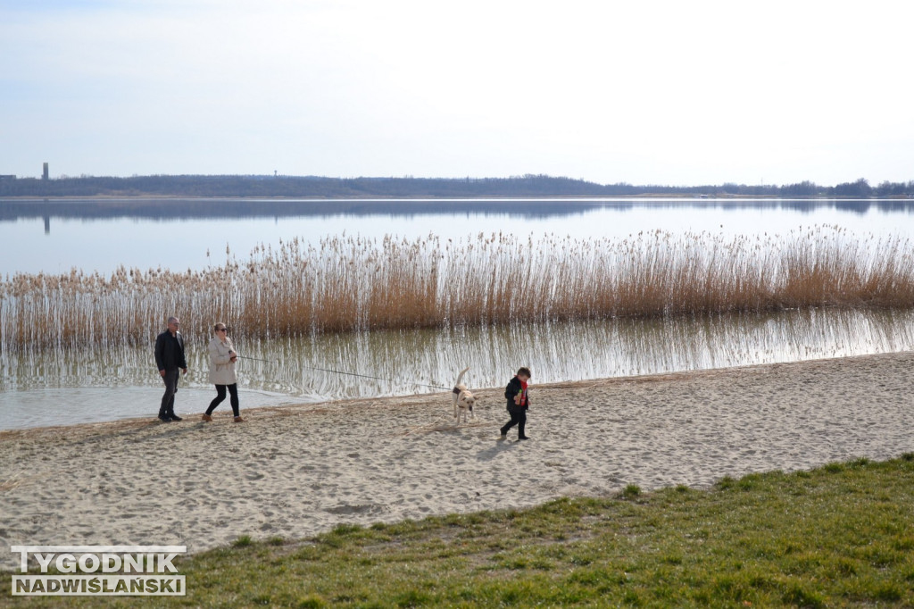 Jezioro Tarnobrzeskie - 19.03.2023