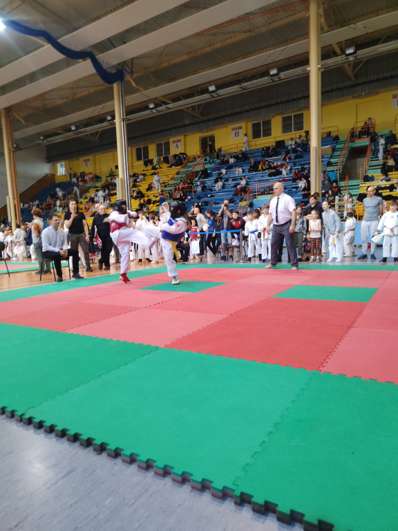 Mistrzostwa Podkarpacia w Karate