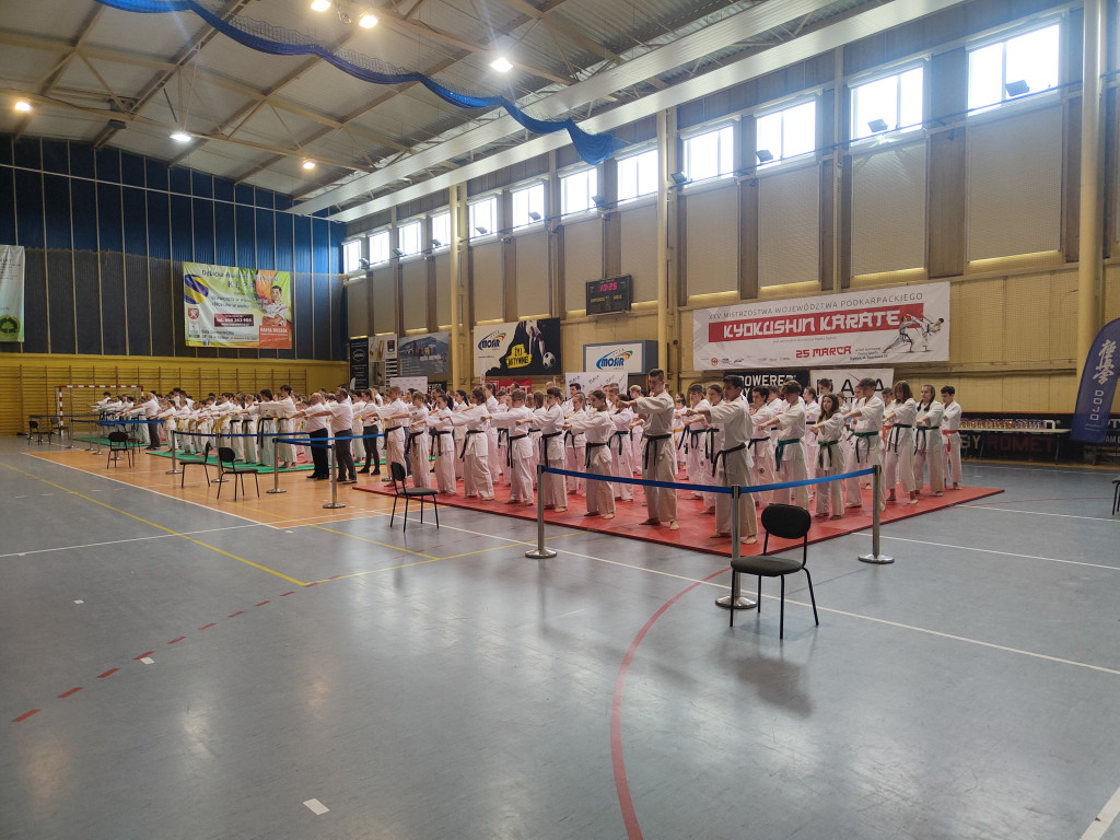 Mistrzostwa Podkarpacia w Karate