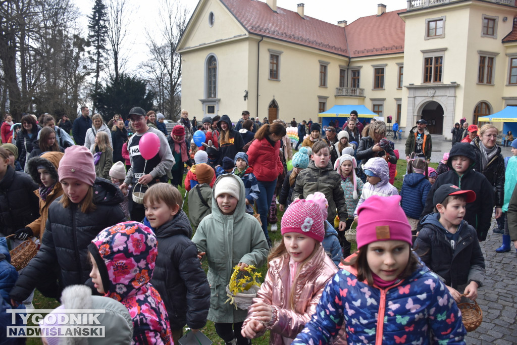 Zbieranie pisanek wielkanocnych w parku dzikowskim