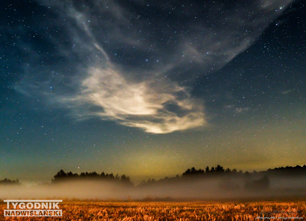 Tarnobrzescy fotografowie wśród najlepszych