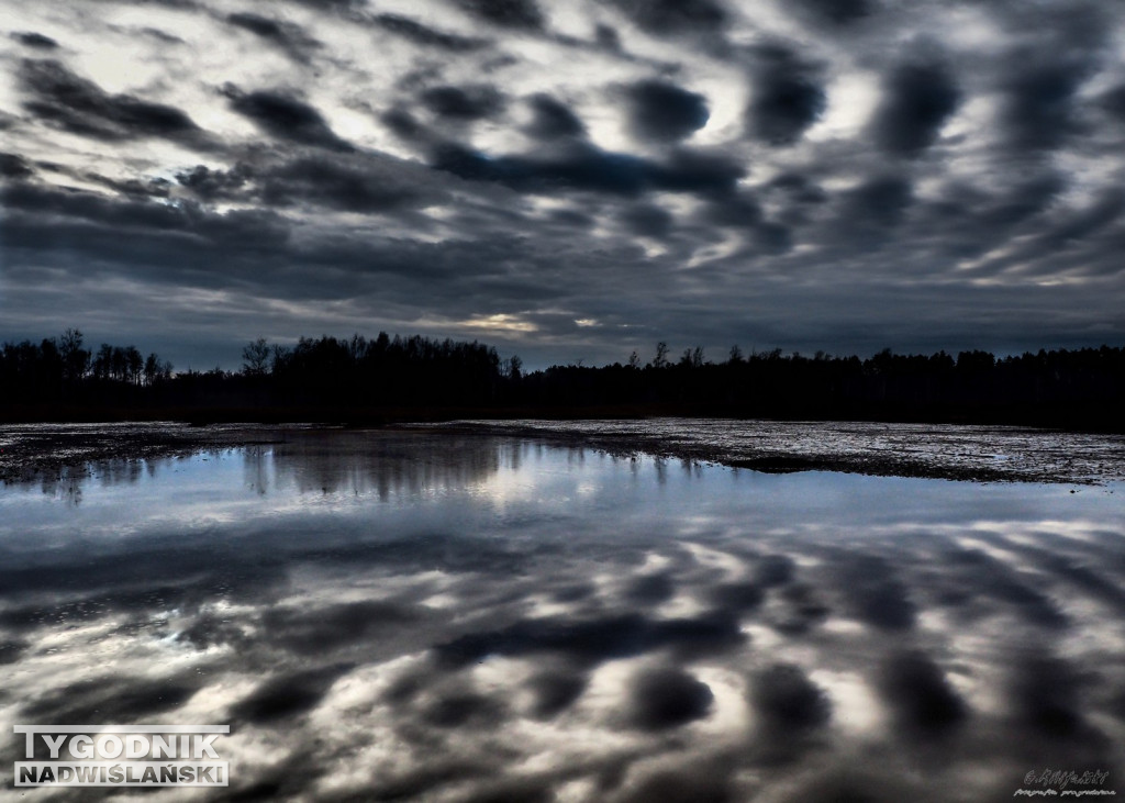 Tarnobrzescy fotografowie wśród najlepszych