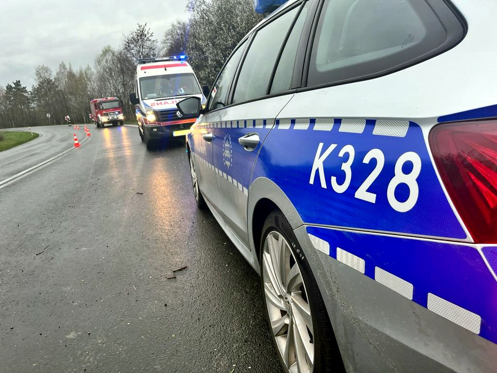 Samochód wjechał do lasku