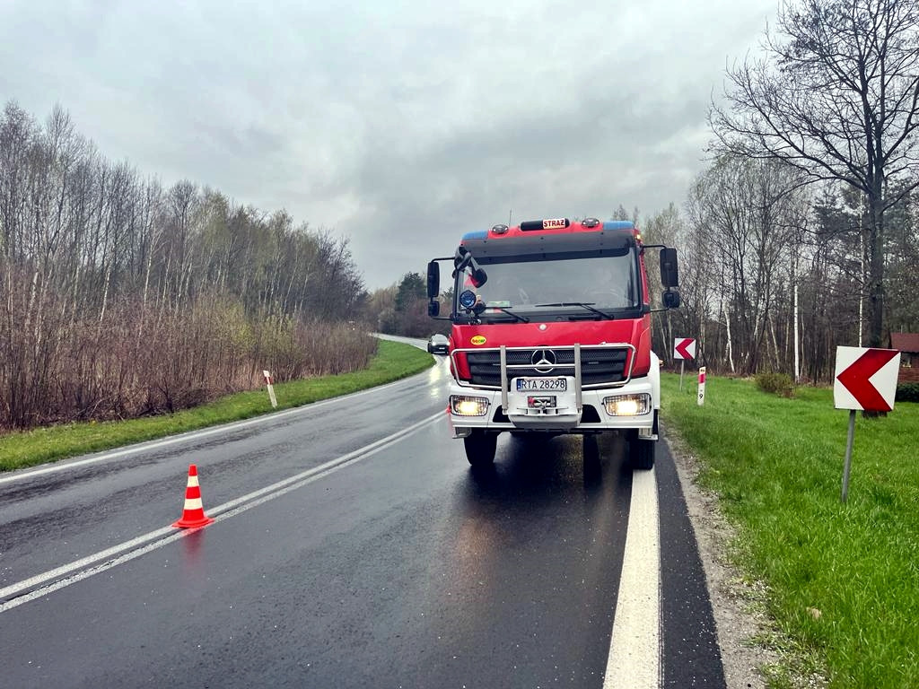 Samochód wjechał do lasku