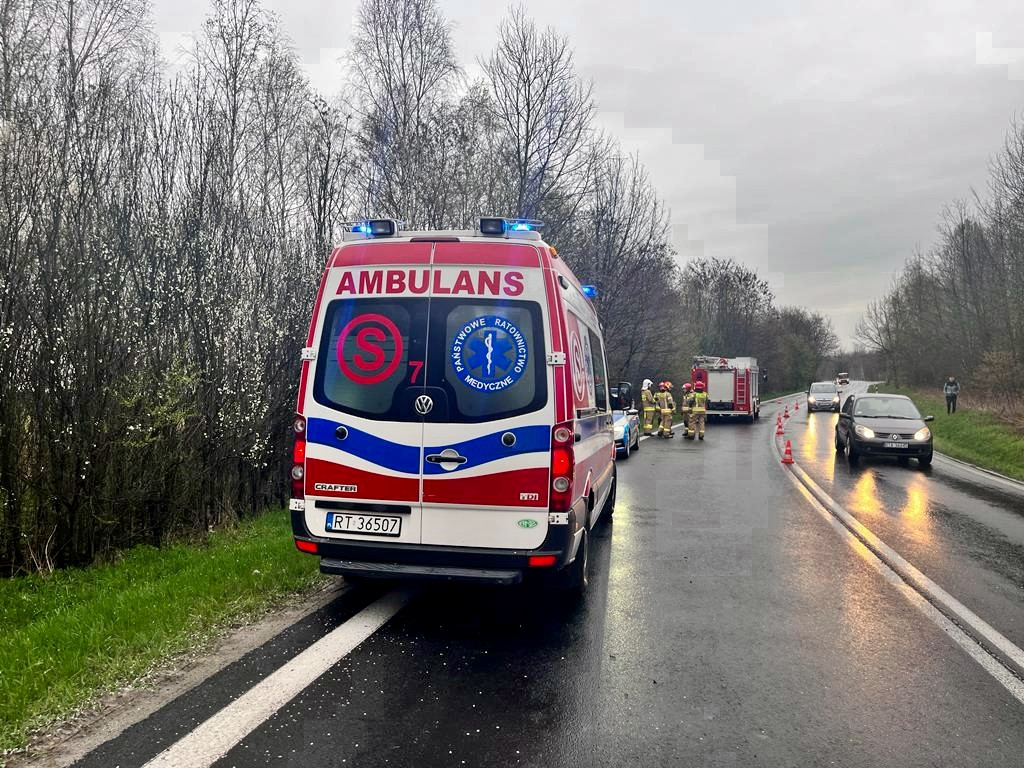 Samochód wjechał do lasku