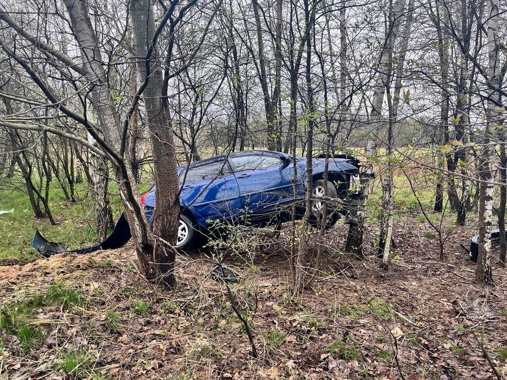 Samochód wjechał do lasku