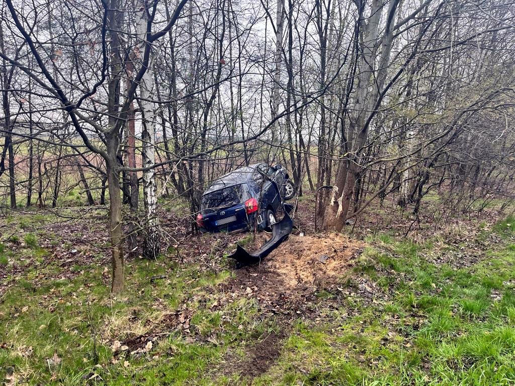 Samochód wjechał do lasku