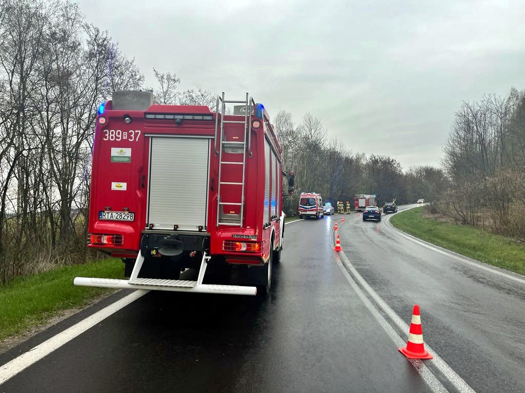 Samochód wjechał do lasku