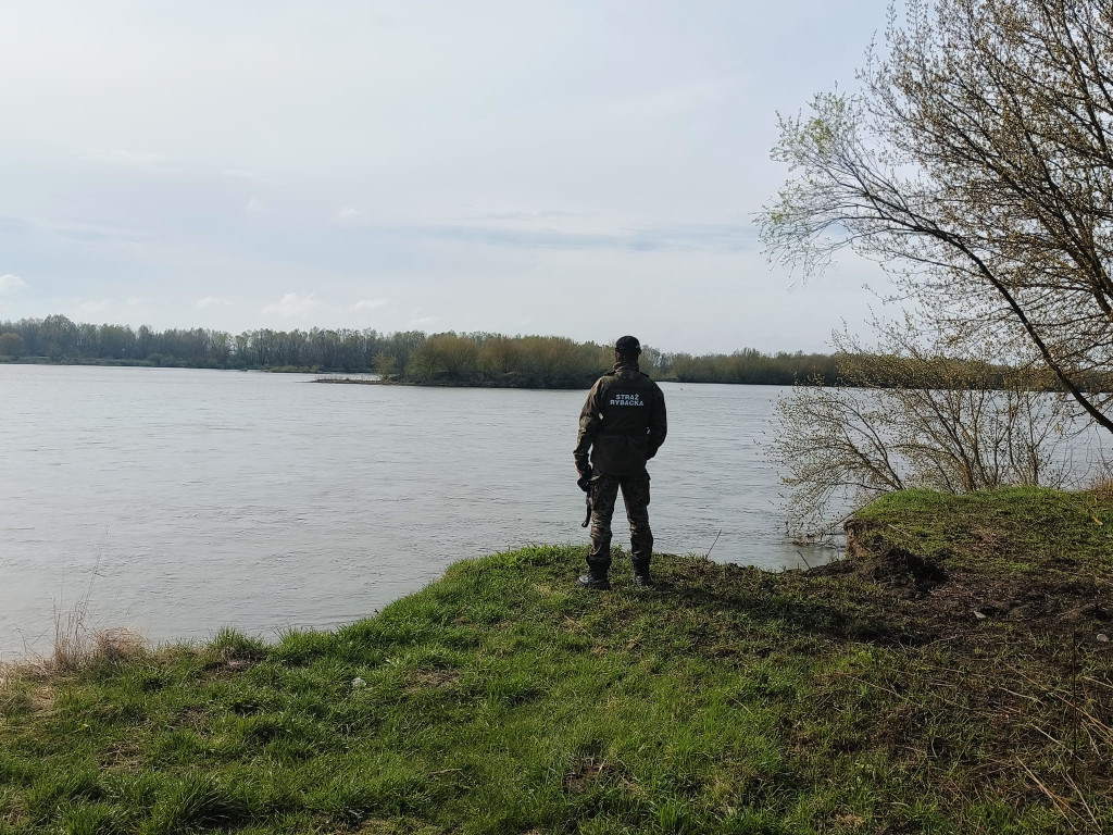 Kłusownicy złapani na gorącym uczynku