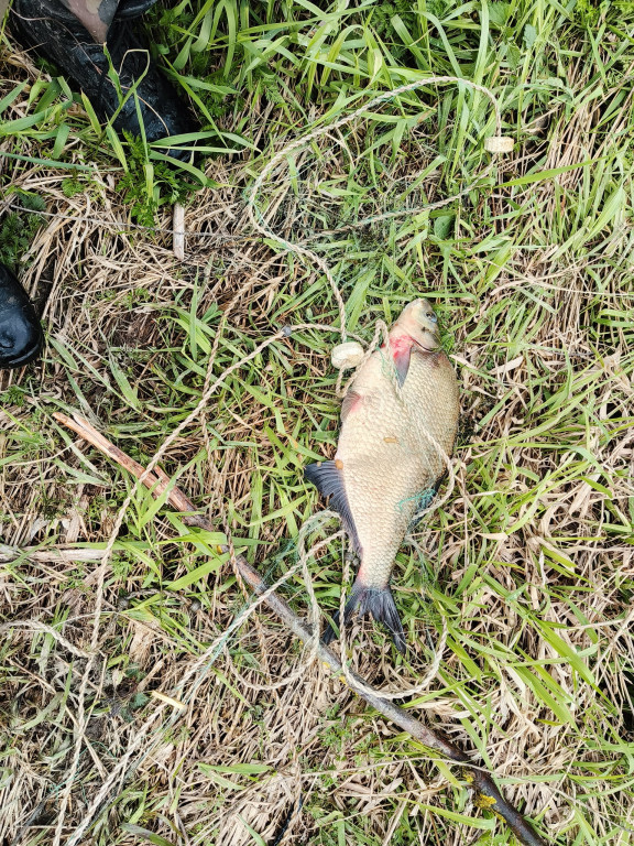 Kłusownicy złapani na gorącym uczynku