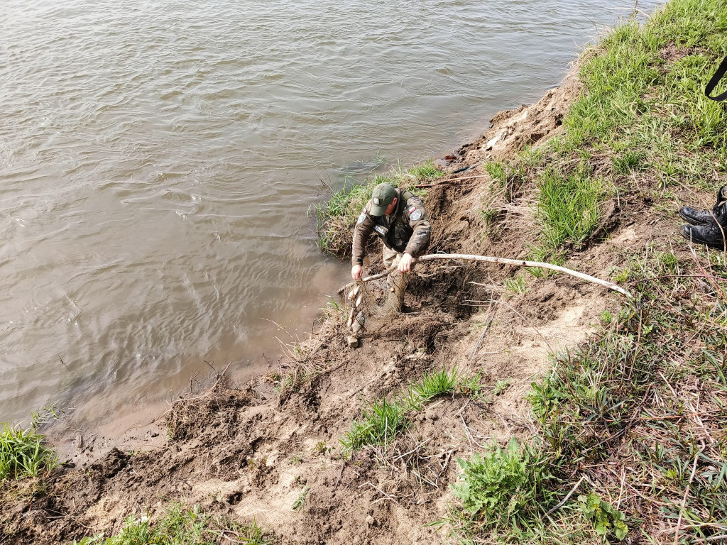 Kłusownicy złapani na gorącym uczynku