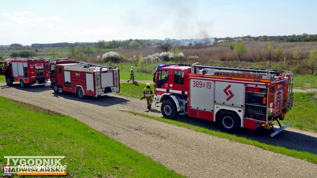 Pożar nieużytków w Gorzycach