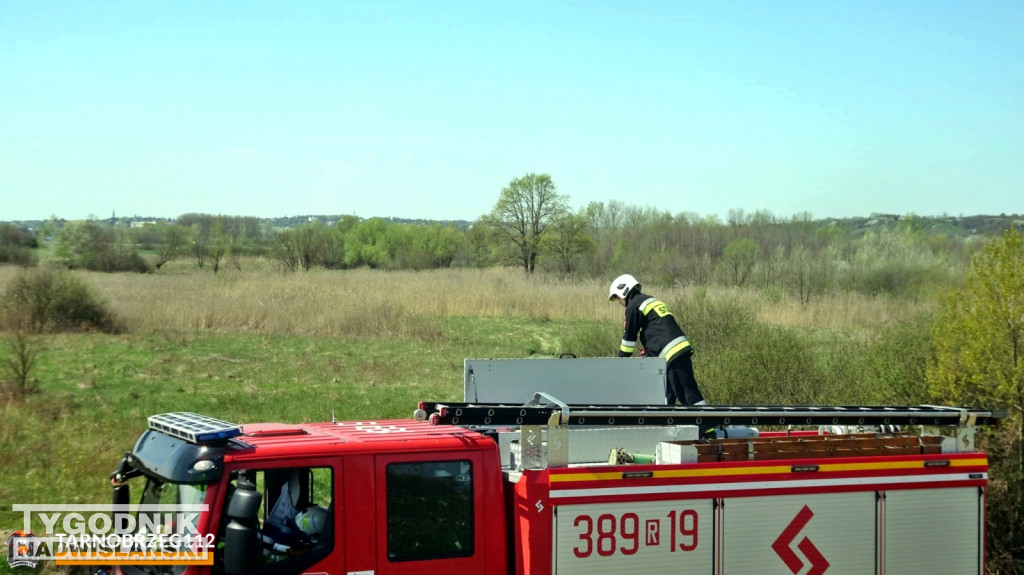 Pożar nieużytków w Gorzycach
