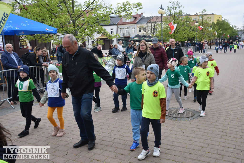 Sztafeta przedszkoli na Biegu Siarkowca w Tarnobrzegu