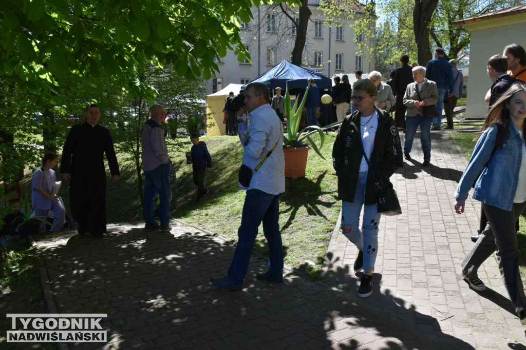 Dzień Otwartej Furty w Sandomierzu