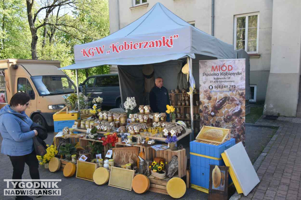 Dzień Otwartej Furty w Sandomierzu
