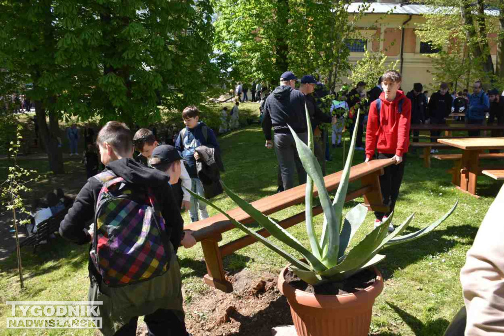Dzień Otwartej Furty w Sandomierzu