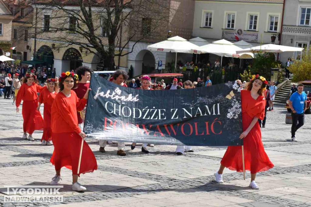 Festiwal 