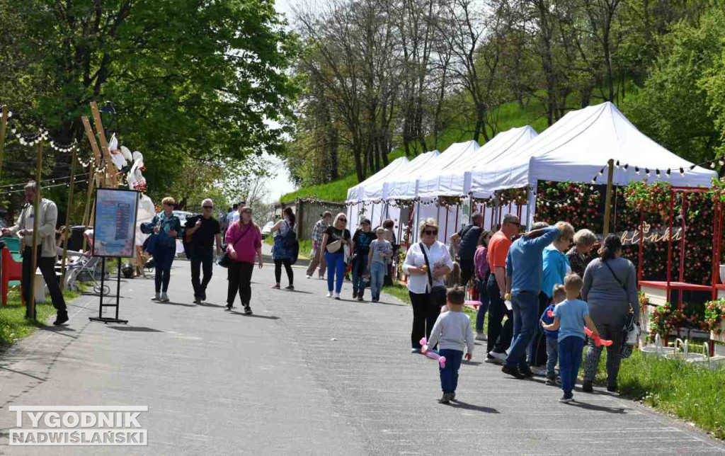 Festiwal 