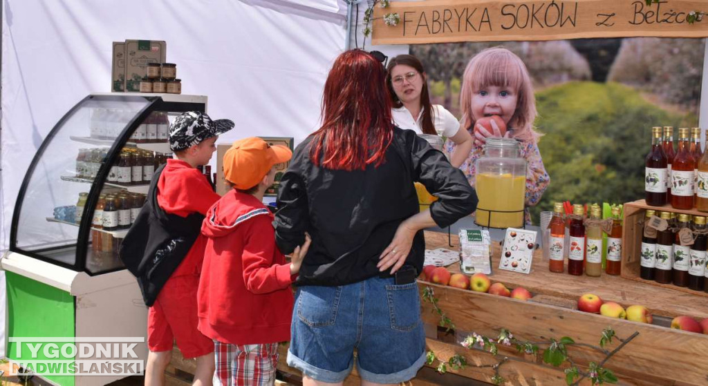 Festiwal 