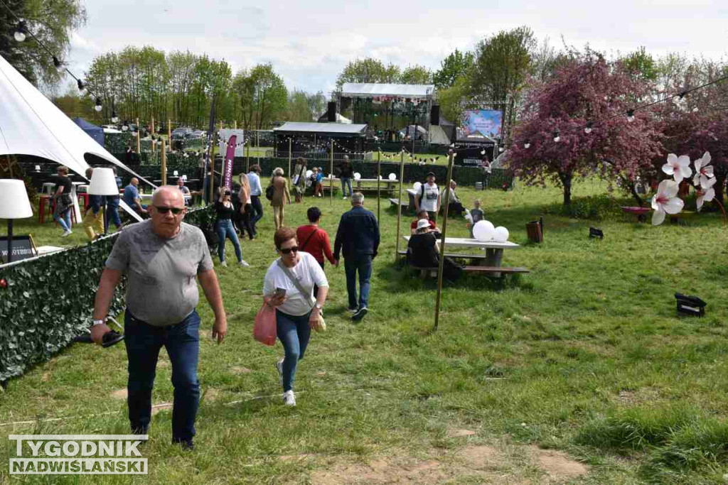 Festiwal 