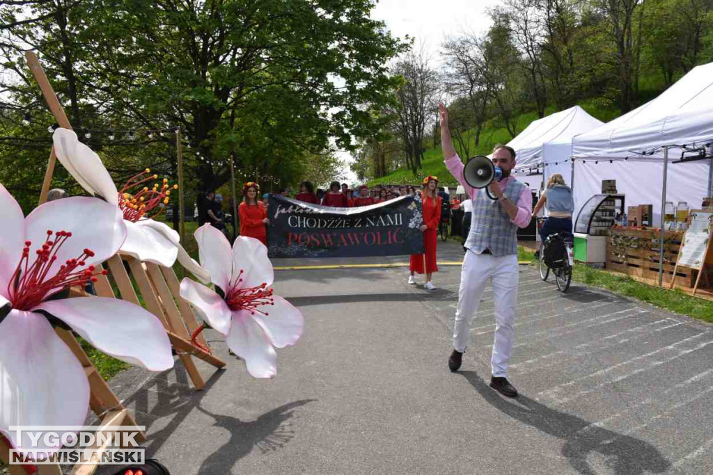 Festiwal 