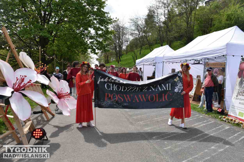 Festiwal 