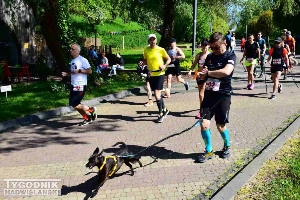 XI Sandomierskie Biegi Kwitnących Sadów