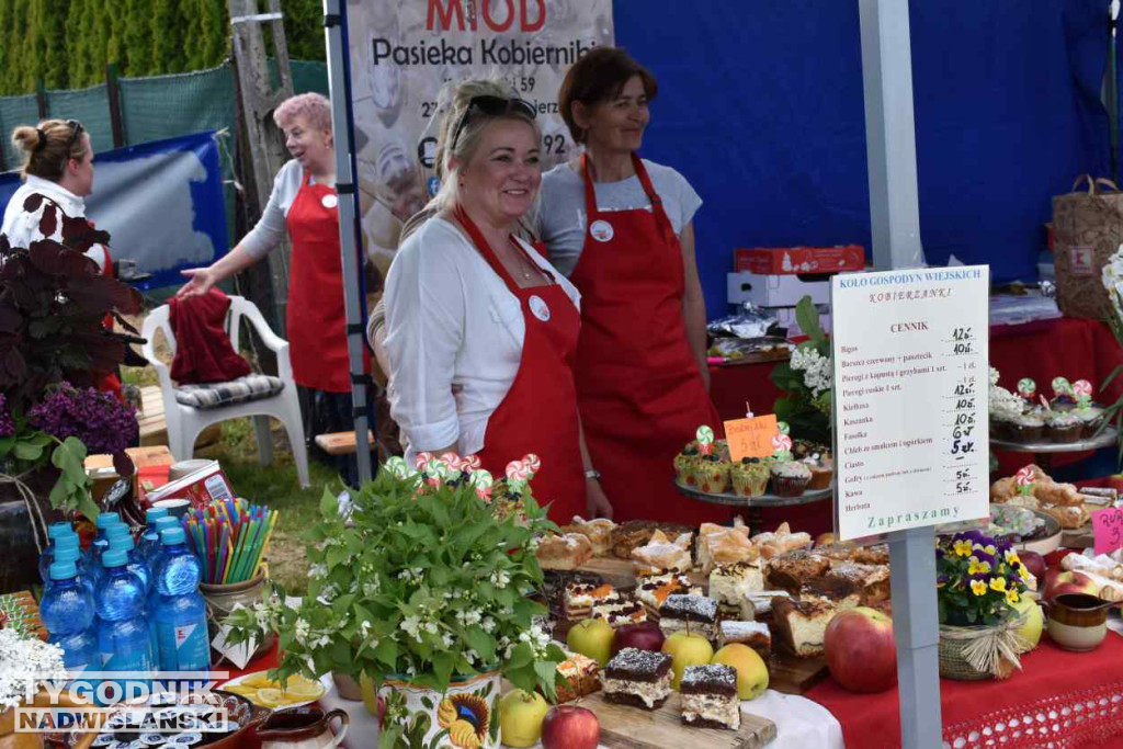 XXXIII Święto Kwitnącej Jabłoni w Samborcu
