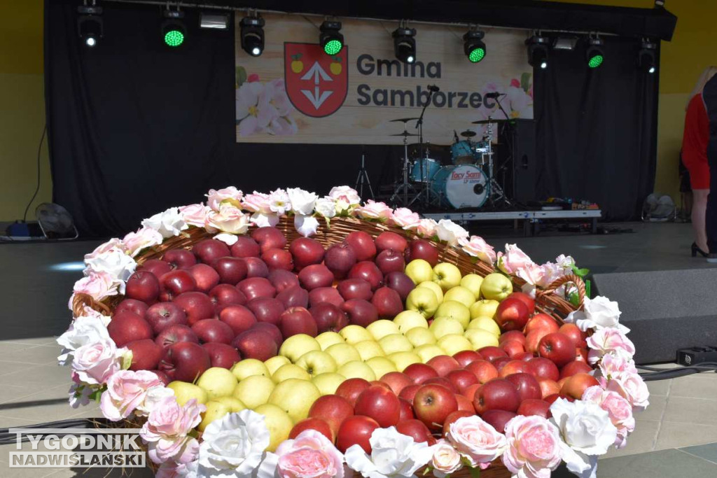 XXXIII Święto Kwitnącej Jabłoni w Samborcu