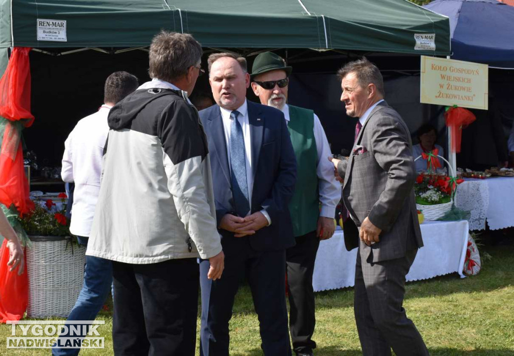 XXXIII Święto Kwitnącej Jabłoni w Samborcu
