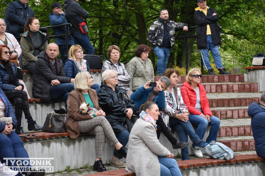 Protestuja przeciwko wycince drzew w Tarnobrzegu