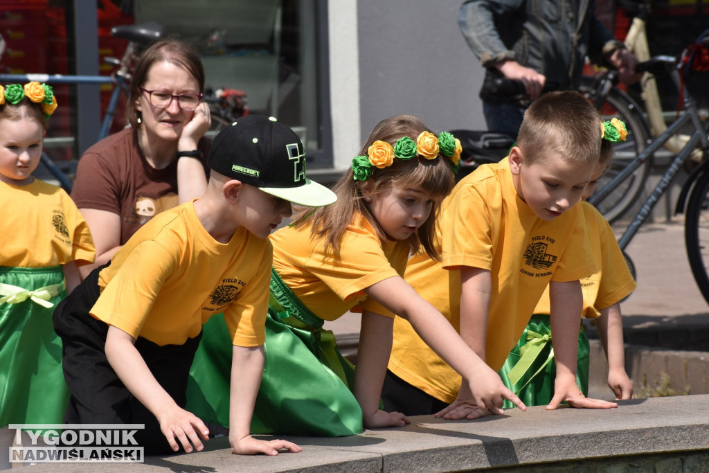 W Tarnobrzegu świętują 430. urodziny miasta