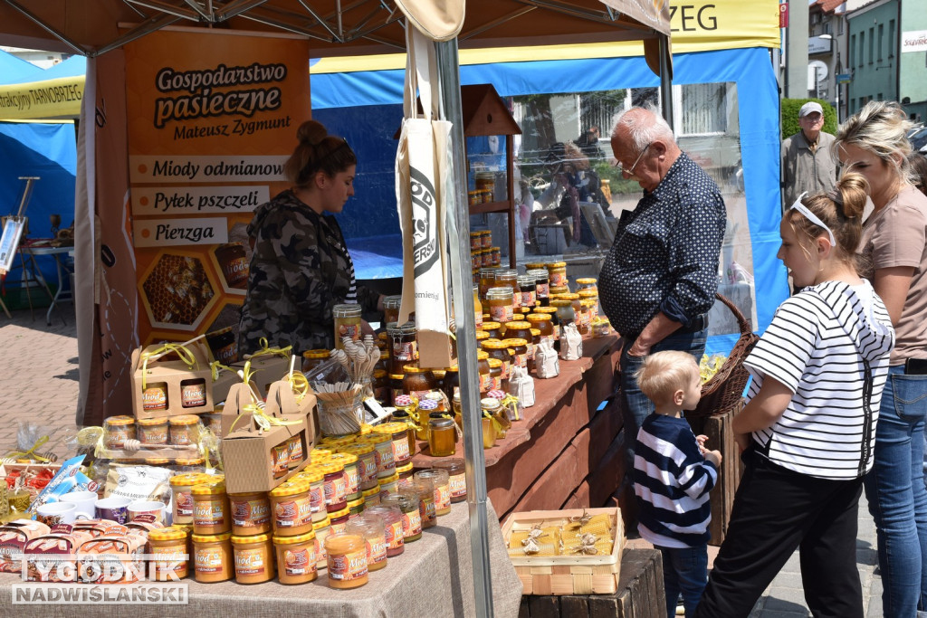 W Tarnobrzegu świętują 430. urodziny miasta