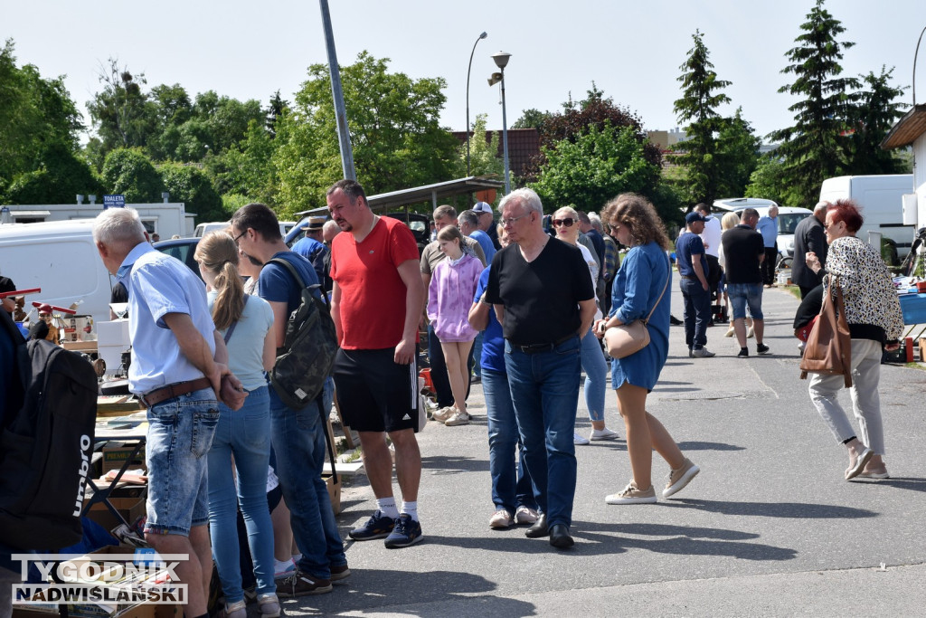 Majowy Pchli Targ w Tarnobrzegu